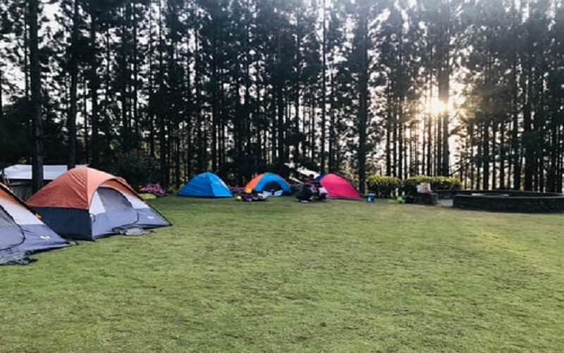 Camping Discount Coupon