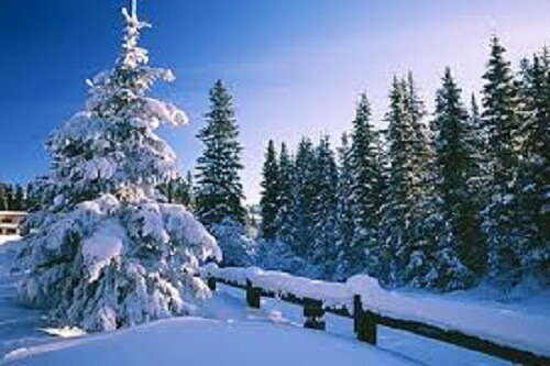 Shimla Manali With Agra Trip