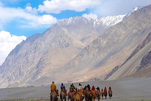 Camel Ride in Nubra Valley