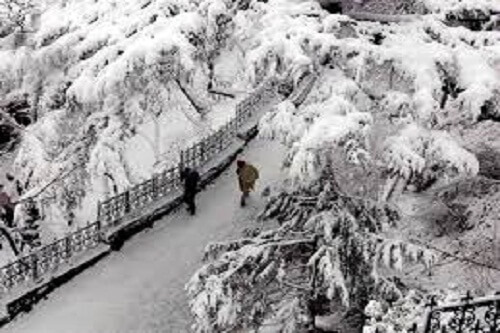 Dalhousie Travel Package