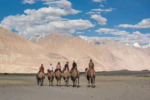 Hunder Sand Dunes, Nubra Valley, Ladakh, India