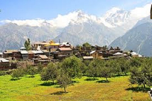 Sangla Kalpa Reckongpeo Tour