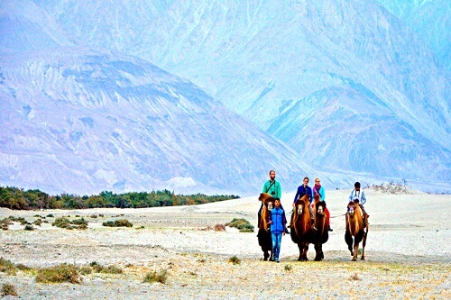 Nubra Valley Leh Ladakh