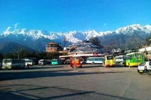 Palampur Tour Package