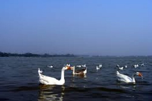 Sukhna Lake, Chandigarh