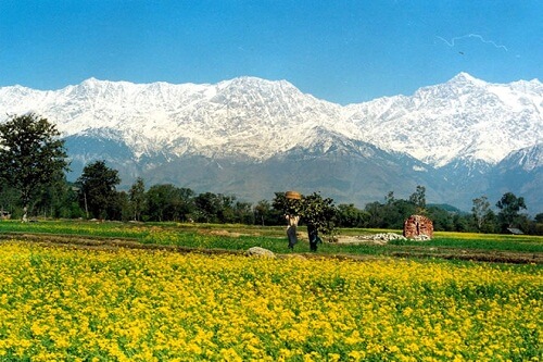 Dharamshala Honeymoon Tour Package