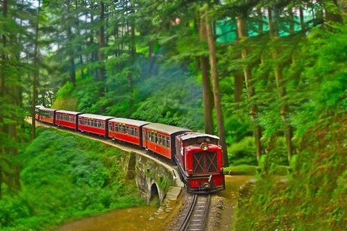 Kalka Shimla World Heritage Toy Train Ride